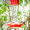 Show in main carousel: Natures Way Bird Products Gravity Scarlet Silhouette Nectar Hummingbird Feeder, Red, 11-oz slide 8 of 8