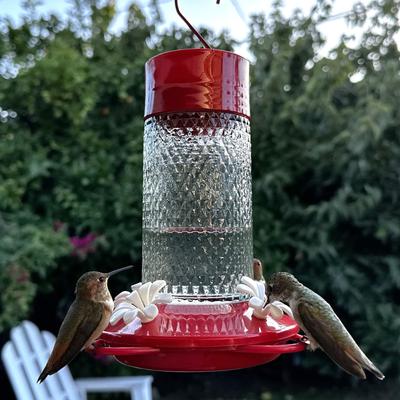 Show full view: Natures Way Bird Products Gravity Charming Cherry Nectar Hummingbird Feeder, Red, 13-oz slide 8 of 8