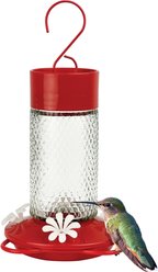 Natures Way Bird Products Gravity Charming Cherry Nectar Hummingbird Feeder, Red, 13-oz