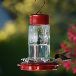 Natures Way Bird Products Gravity Scarlet Swirl Nectar Hummingbird Feeder, Red, 20-oz slide 2 of 8