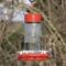 Show in main carousel: Natures Way Bird Products Gravity Scarlet Swirl Nectar Hummingbird Feeder, Red, 20-oz slide 8 of 8