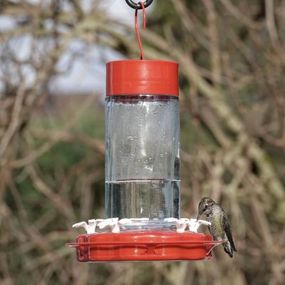 Show full view: Natures Way Bird Products Gravity Scarlet Swirl Nectar Hummingbird Feeder, Red, 20-oz slide 8 of 8