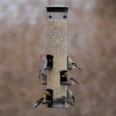 Show full view: Natures Way Bird Products Plastic Tube Wild Bird Feeder, Black, Large: 2.1 quart, 3-lb slide 8 of 8