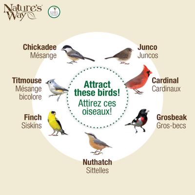 Show full view: Natures Way Bird Products Plastic Tube Wild Bird Feeder, Black, Large: 2.1 quart, 3-lb slide 5 of 8