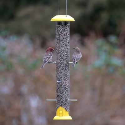 Show full view: Natures Way Bird Products Bottoms Up Metal Thistle Tube Wild Bird Feeder, Yellow, 2.24-lb slide 7 of 8