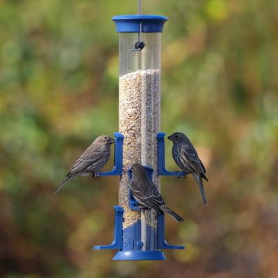 Show full view: Natures Way Bird Products Plastic Tube Wild Bird Feeder, Blue, 1.2 quart, 1.7-lb slide 7 of 8