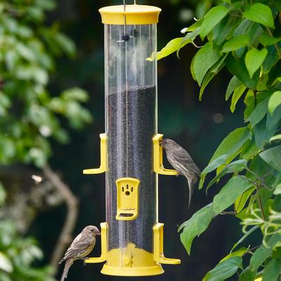 Show full view: Natures Way Bird Products Plastic Thistle Tube Wild Bird Feeder, Yellow, Large: 2.1 quart, 3.1-lb slide 7 of 8