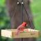 Show in main carousel: Natures Way Bird Products Cedar Tray House Hopper Wild Bird Feeder, Brown, 2.1-lb slide 8 of 8