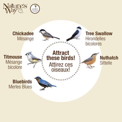 Show full view: Natures Way Bird Products Spring Ivy Decorative Bluebird House, White slide 6 of 6