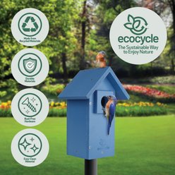 EcoCycle Bungalow Recycled Plastic Bluebird House, Blue slide 2 of 6