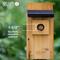 Show in main carousel: Natures Way Bird Products Cedar Bluebird Box House, Brown slide 5 of 7