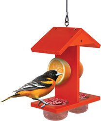 EcoCycle Citrus Sampler Recycled Plastic Nectar Orange & Jelly Oriole Wild Bird Feeder, 1.75-cup