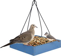 EcoCycle Perfect Picnic Recycled Plastic House Hopper Wild Bird Feeder, Blue, 1.9-lb