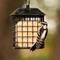 Show in main carousel: Natures Way Bird Products Suet Cage Wild Bird Feeder with Roof, Black, 2 cake slide 7 of 8