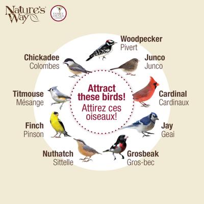 Show full view: Natures Way Bird Products Contemporary Lantern Gazebo Decorative Wild Bird Feeder, Black, 2.2-lb slide 5 of 6