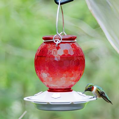 Show full view: EcoCycle Crimson Comb Recycled Glass Nectar Hummingbird Feeder, Red, 16-oz slide 8 of 8