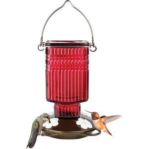 Natures Way Bird Products Antique Crimson Carnation Nectar Hummingbird Gravity Feeder, Red, 22-oz