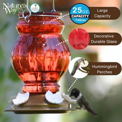 Show full view: Natures Way Bird Products Antique Ruby Visions Nectar Hummingbird Gravity Feeder, Red, 25-oz slide 3 of 8