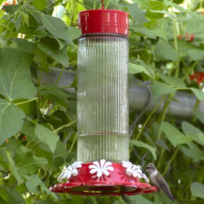 Show full view: Natures Way Bird Products Gravity Ribbed Rose Nectar Hummingbird Feeder, Red, 28-oz slide 7 of 8