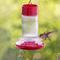 Show in main carousel: Natures Way Bird Products Gravity Charming Cherry Nectar Hummingbird Feeder, Red, 13-oz slide 7 of 8