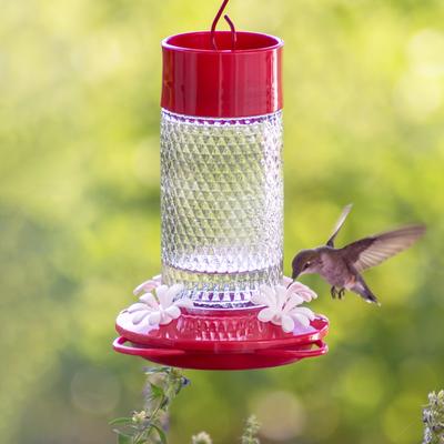 Show full view: Natures Way Bird Products Gravity Charming Cherry Nectar Hummingbird Feeder, Red, 13-oz slide 7 of 8