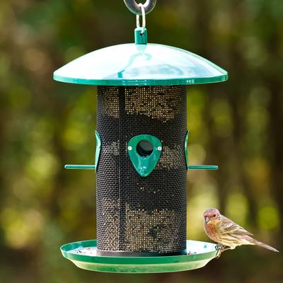 Show full view: Natures Way Bird Products Midnight Metal Mesh Mixed Seed & Peanut Wild Bird Feeder, Blue, 2.75 quart, 3.9-lb slide 7 of 8