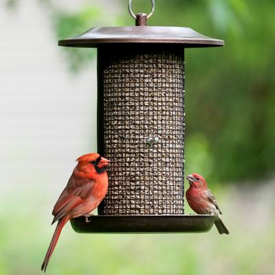 Show full view: Natures Way Bird Products Beloved Bronze Dual-Chamber Metal Mesh Wild Bird Feeder, Bronze, 2.375 quart, 3.3-lb slide 8 of 8