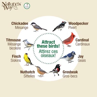 Show full view: Natures Way Bird Products Beloved Bronze Dual-Chamber Metal Mesh Wild Bird Feeder, Bronze, 2.375 quart, 3.3-lb slide 5 of 8