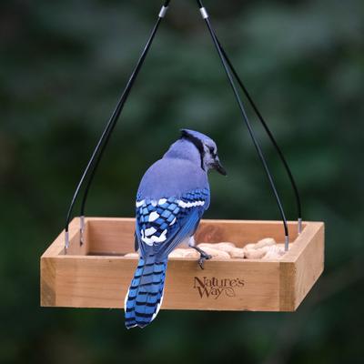 Show full view: Natures Way Bird Products Cedar Tray House Hopper Wild Bird Feeder, Brown, 2.1-lb slide 7 of 8