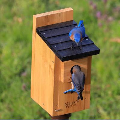 Show full view: Natures Way Bird Products Cedar Bluebird Box House, Brown slide 7 of 7