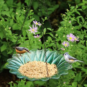 EcoCycle Recycled Glass Hanging Combination Songbird Feeder & Bath, 11-in, 0.625 quartz, Turquoise Dahlia