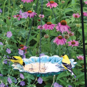 EcoCycle Recycled Glass Hanging Combination Songbird Feeder & Bath, 11-in, 0.625 quartz, Turquoise Dahlia