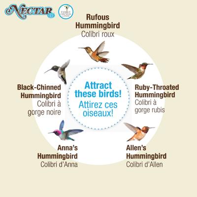 Show full view: Natures Way Bird Products Clear Nectar Concentrate Hummingbird Food, 51-oz bag slide 6 of 8