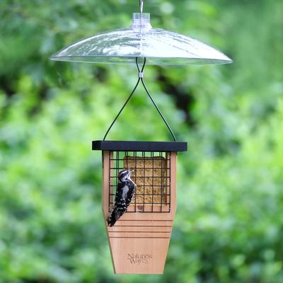 Show full view: Squirrel Shield Dual-Mount Transparent Songbird Feeder Baffle, Clear, 16-in slide 8 of 9