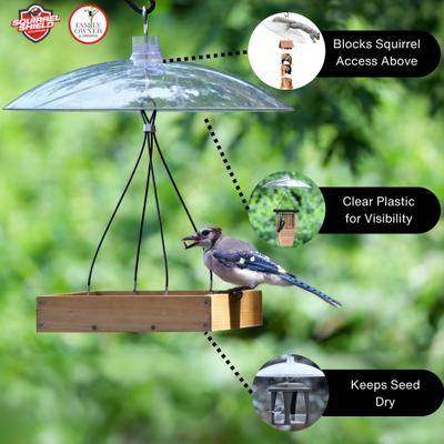 Show full view: Squirrel Shield Dual-Mount Transparent Songbird Feeder Baffle, Clear, 16-in slide 3 of 9