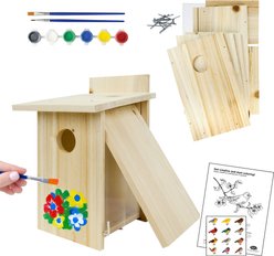 Natures Way Bird Products My First Bird House with Viewing Window, Brown