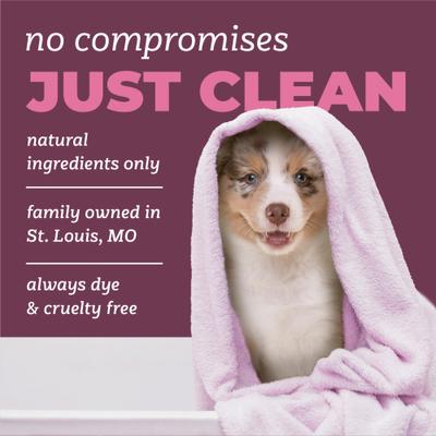 Show full view: TropiClean Pure Raindrop Kisses Tearless Shampoo for Puppies, 22-oz slide 5 of 7