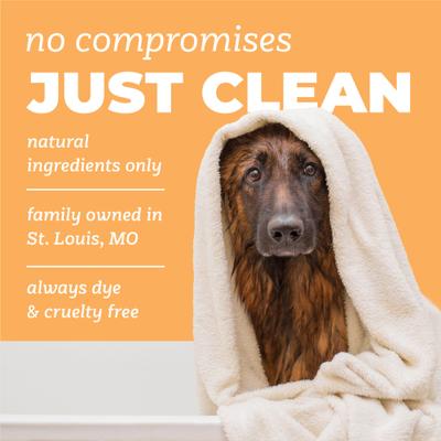 Show full view: TropiClean Pure Sunset Summer Itch Relief Dog & Cat Shampoo, 22-oz slide 5 of 7