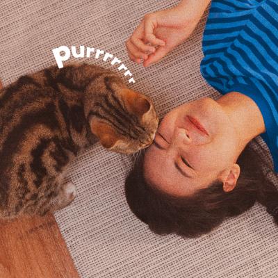 Show full view: Adams Plus Flea & Tick Carpet Spray, 16-fl oz spray slide 6 of 14