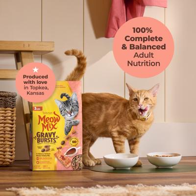 Show full view: Meow Mix Gravy Burst Salmon Dry Cat Food, 3-lb bag slide 7 of 10