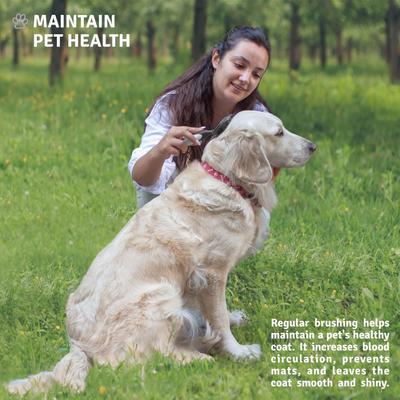 Show full view: POODLIE Round Bristle Brush for Dogs & Cats, Black slide 5 of 10