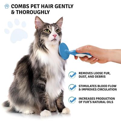 Show full view: POODLIE Round Bristle Brush for Dogs & Cats, Blue slide 6 of 10