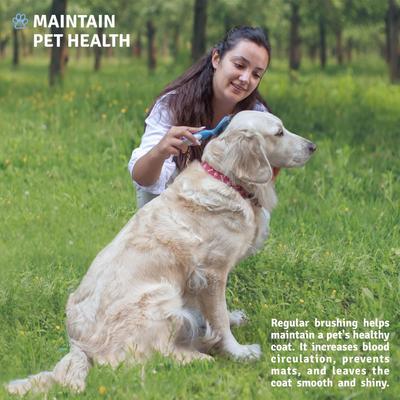 Show full view: POODLIE Round Bristle Brush for Dogs & Cats, Blue slide 5 of 10