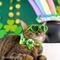 Show in main carousel: Made By Cleo Shamrock Spirit Cat Collar, 8 to 13-in neck, 1/2-in wide slide 6 of 7