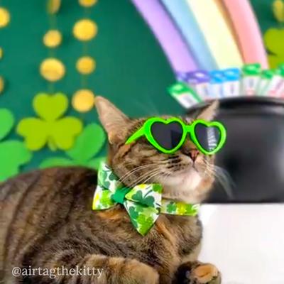 Show full view: Made By Cleo Shamrock Spirit Cat Collar, 8 to 13-in neck, 1/2-in wide slide 6 of 7