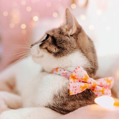 Show full view: Made By Cleo Sugar & Spice Cat Collar, 8 to 13-in neck, 1/2-in wide slide 3 of 4