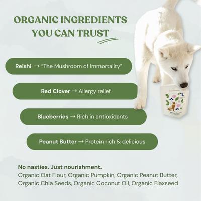 Show full view: Botanical Bones Flower Power Treat Supplement for Dogs, 4-oz bag slide 4 of 6