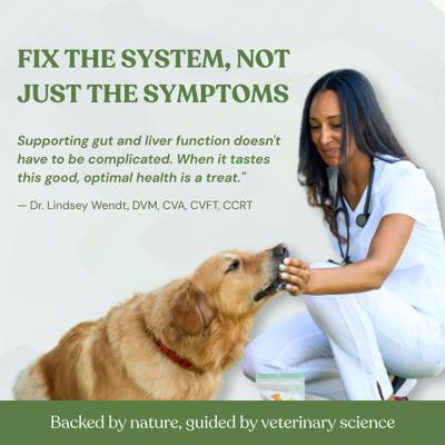 Show full view: Botanical Bones Inner Glow Treat Supplement for Dogs, 4-oz bag slide 5 of 6