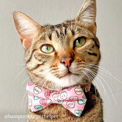 Show full view: Made By Cleo Conversation Hearts Cat Collar, Pink, 8 to 13-in neck, 1/2-in wide slide 5 of 5