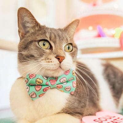 Show full view: Made By Cleo Conversation Hearts Cat Bow Tie, Mint slide 5 of 5